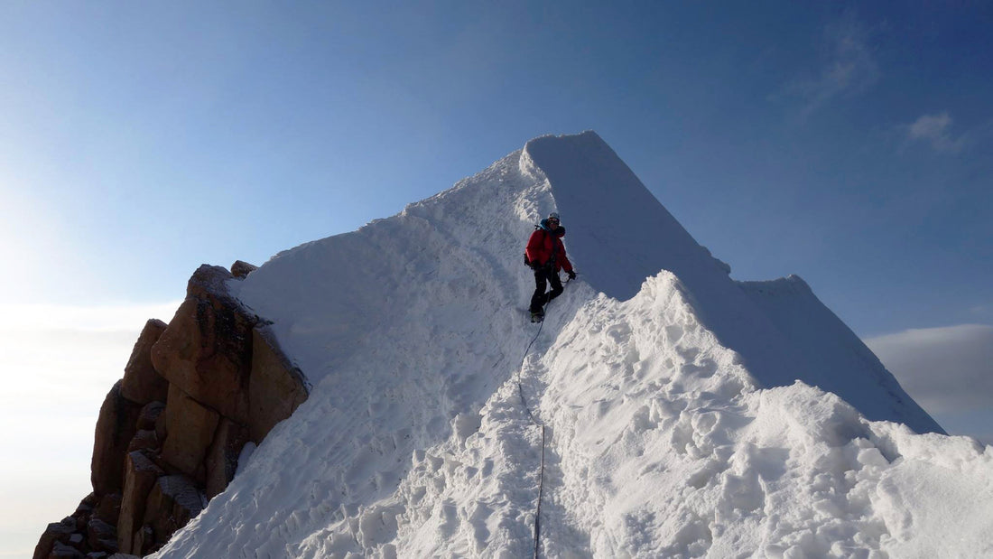 Turning big dreams into big plans - Vertura