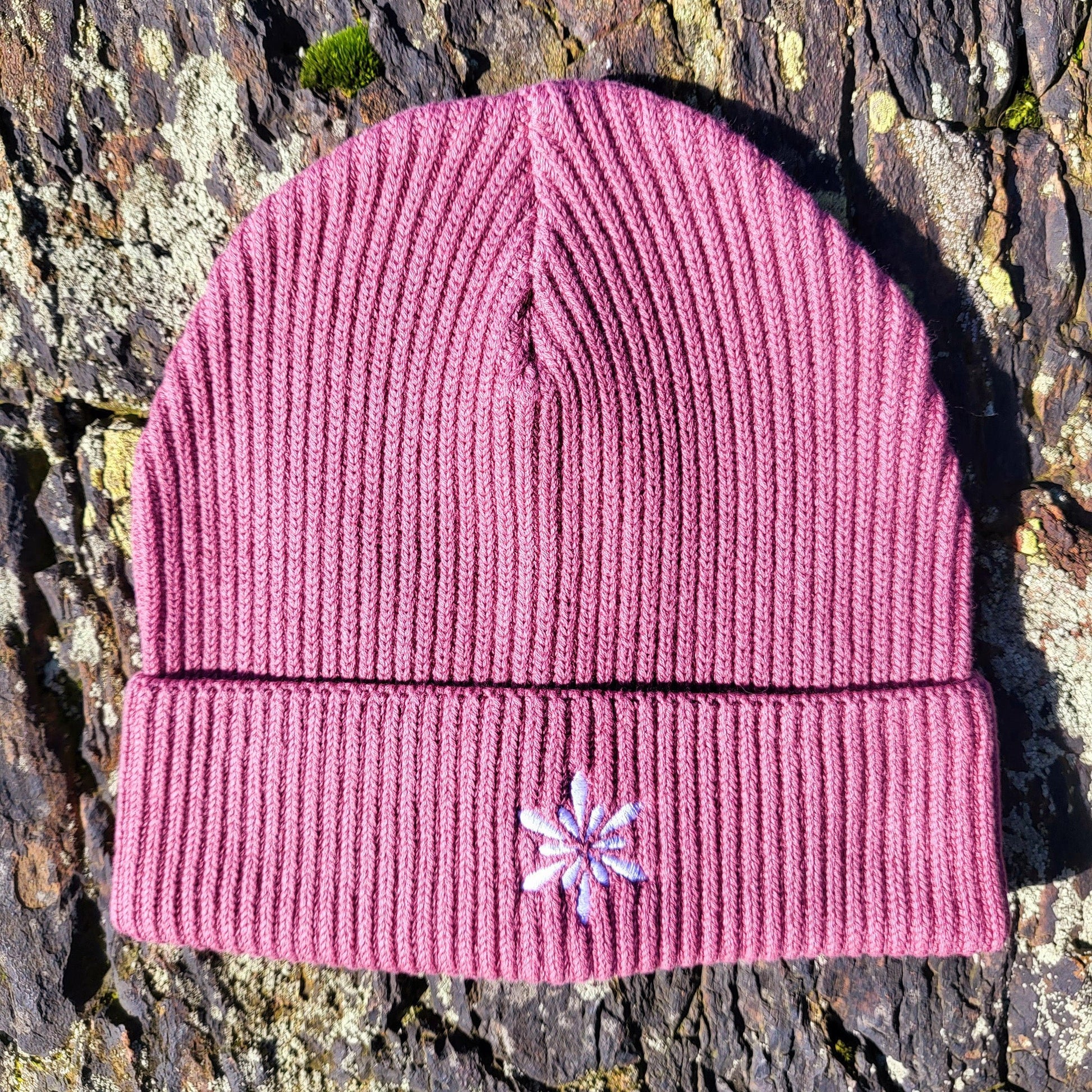 Women's Blush Pink Coast Beanie | Vertura - Vertura