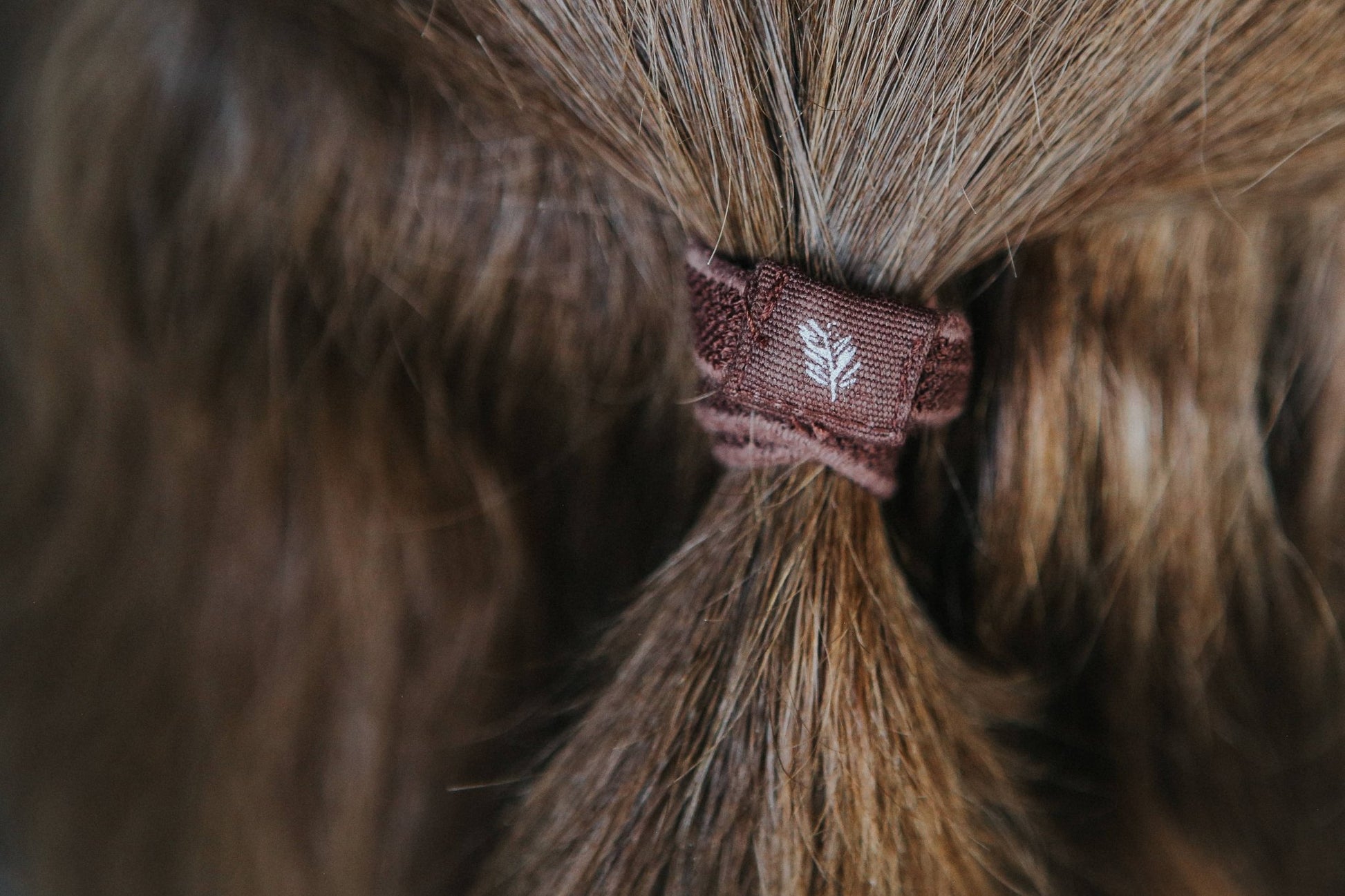 Plastic free hair ties - Natural - Vertura